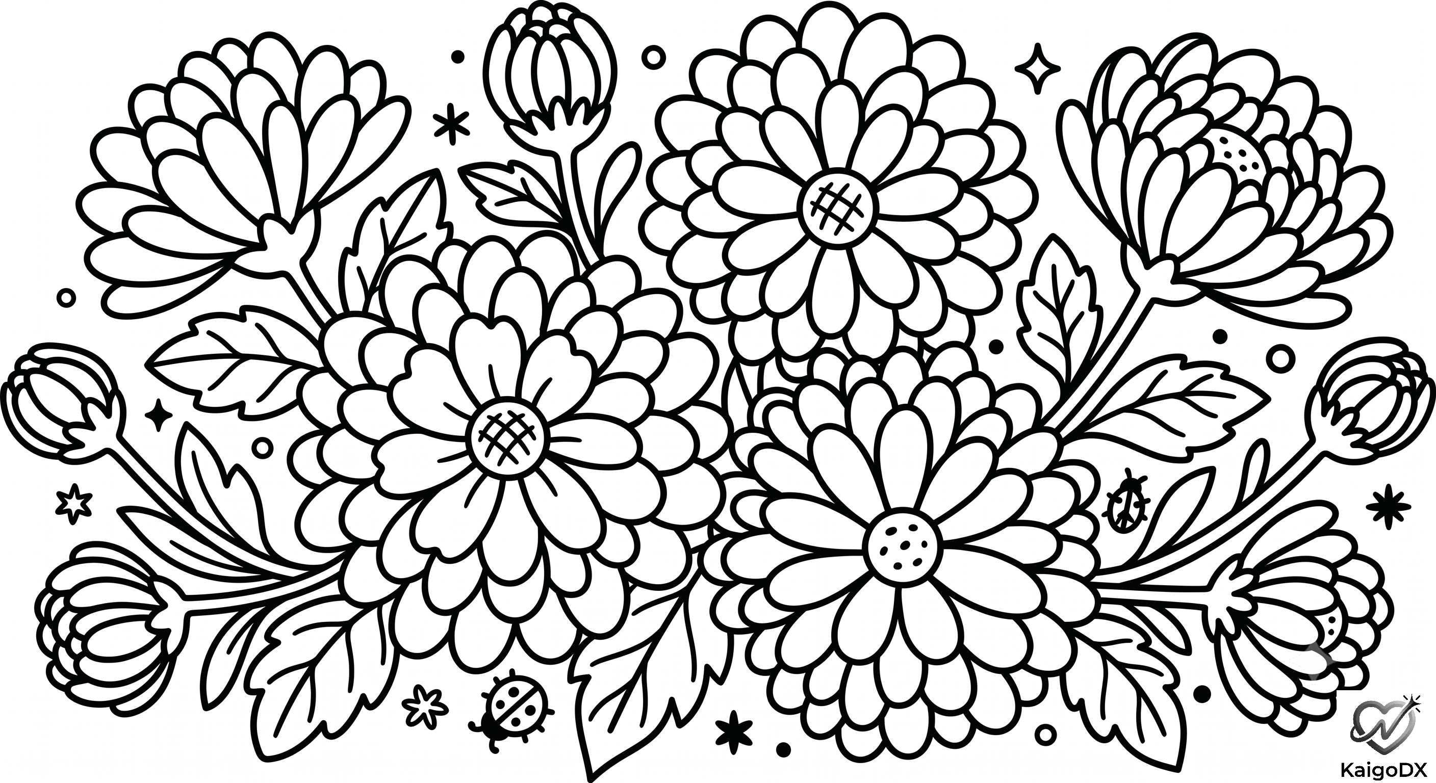 美しい菊の花