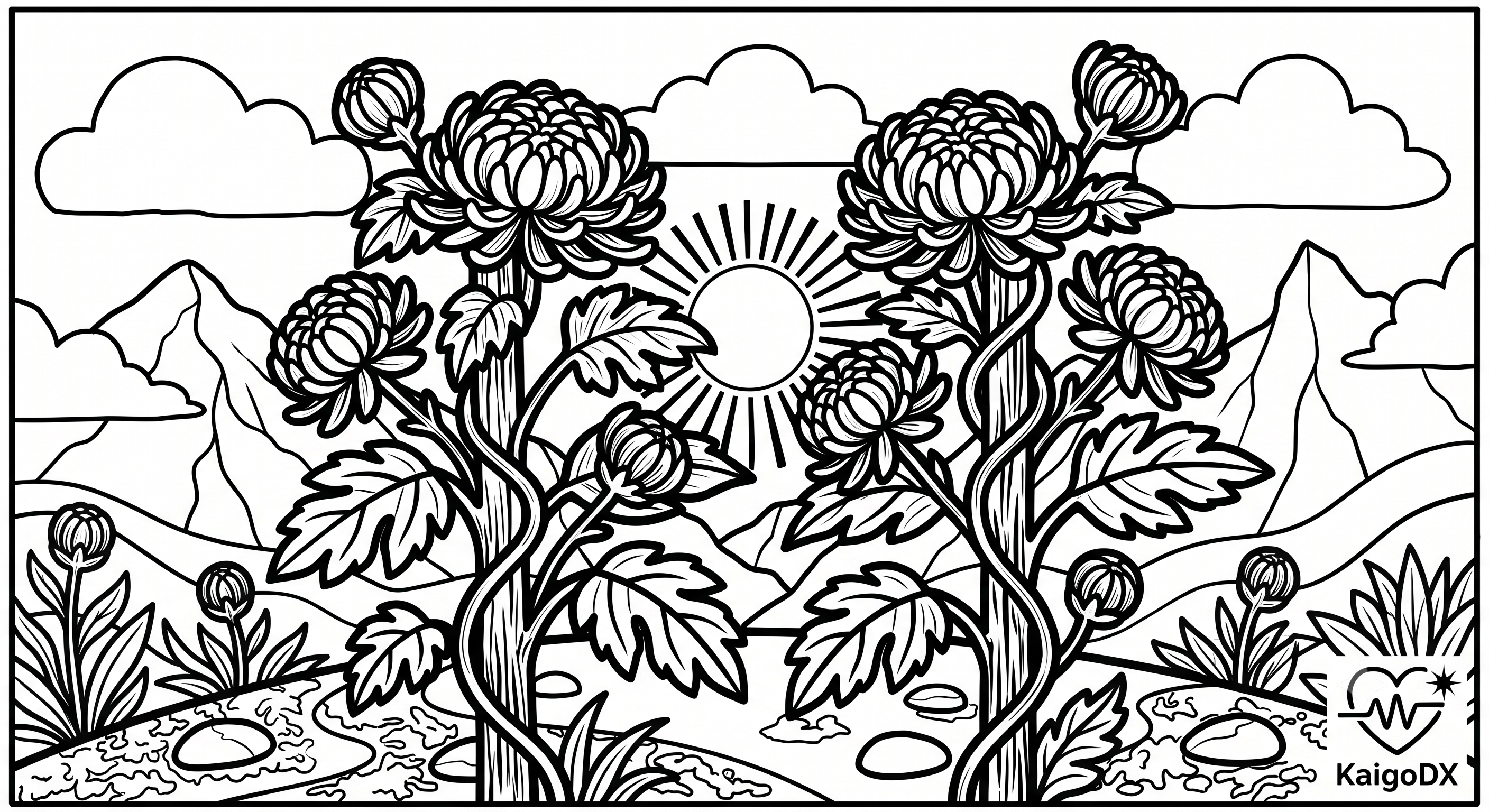 塗り絵 菊（きく）